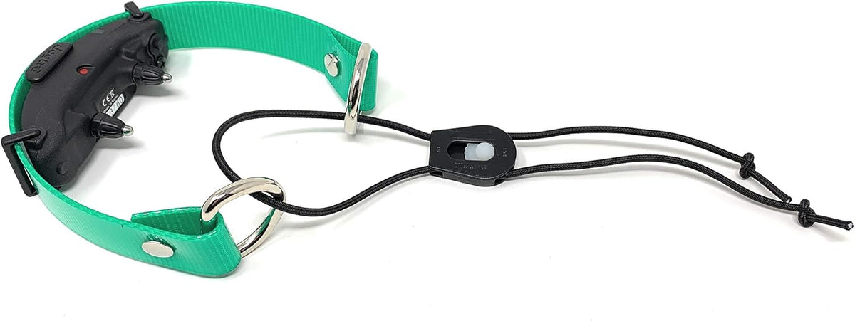 Foxy Pet Co 1" Surefit Waterproof E-Collar Replacement Strap (Green)