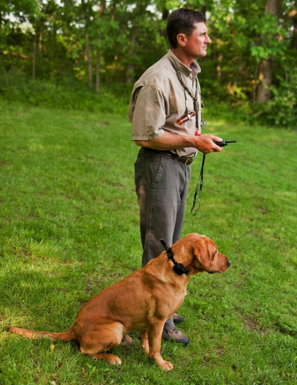 DT Systems H2O 1820 PLUS Expandable Dog Remote Trainer