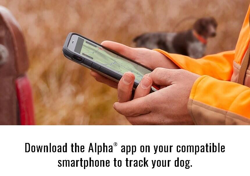 Garmin Alpha LTE Hiking Hunting Dog Tracker