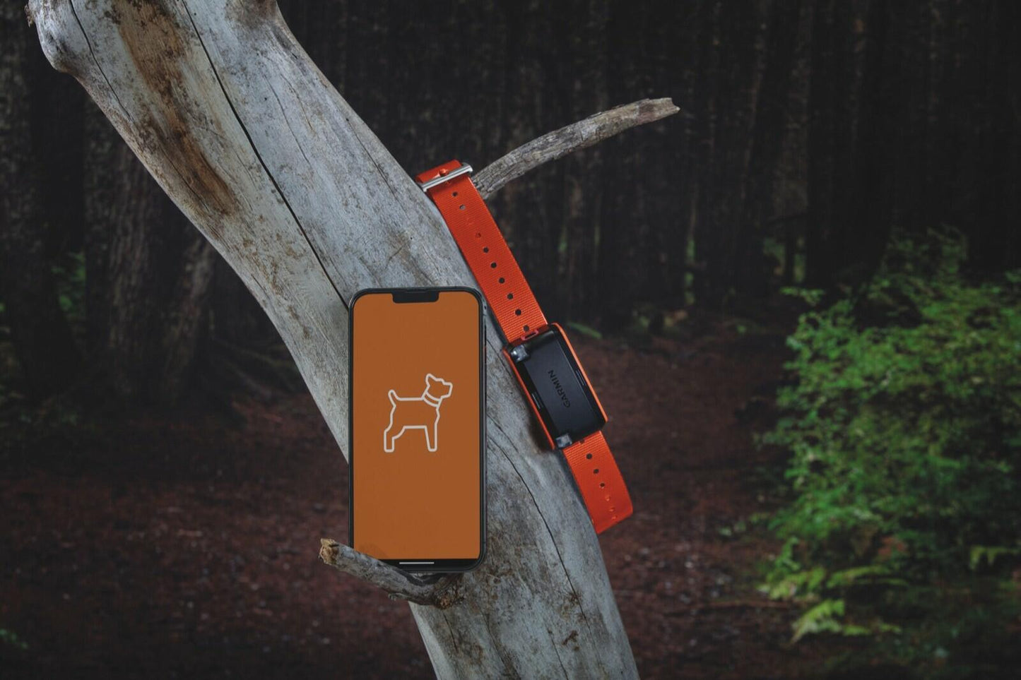 Garmin Alpha LTE Hiking Hunting Dog Tracker