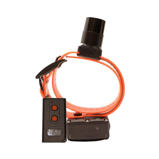 DT Systems BTB-809 Single Beep Baritone Dog Beeper Collar with Remote Control