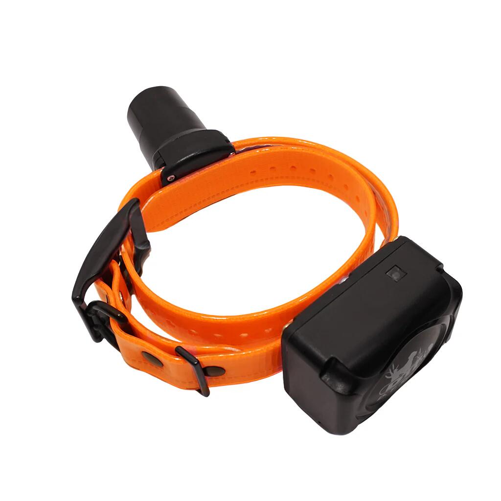 DT Systems BTB-809 Single Beep Baritone Dog Beeper Collar with Remote Control