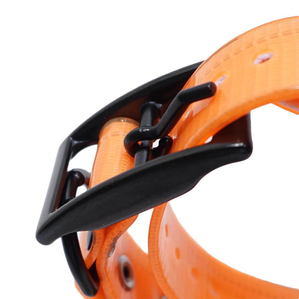 DT Systems BTB-809 Single Beep Baritone Dog Beeper Collar with Remote Control