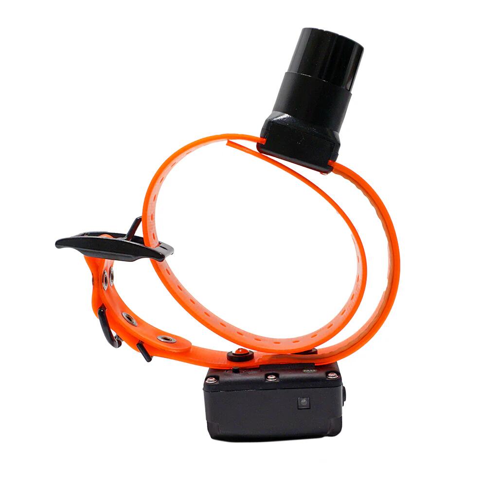 DT Systems BTB-800 Single Beep Baritone Sound Booster Dog Collar Beeper