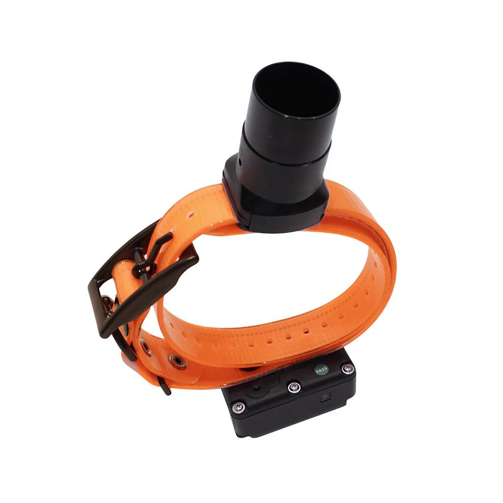 DT Systems BTB-809 Single Beep Baritone Dog Beeper Collar with Remote Control