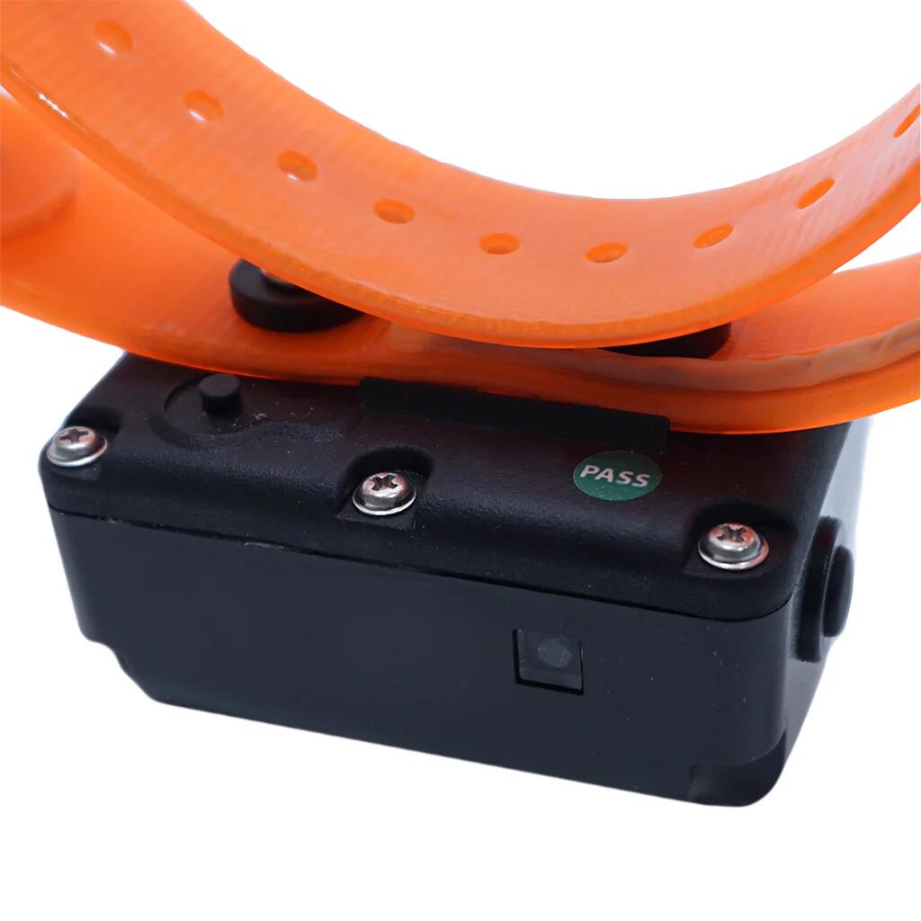 DT Systems BTB-800 Single Beep Baritone Sound Booster Dog Collar Beeper