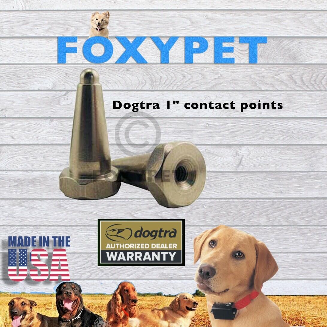 Dogtra Contact Points 1" Surgical Stainless Steel Female 1 Inch - Set of 2