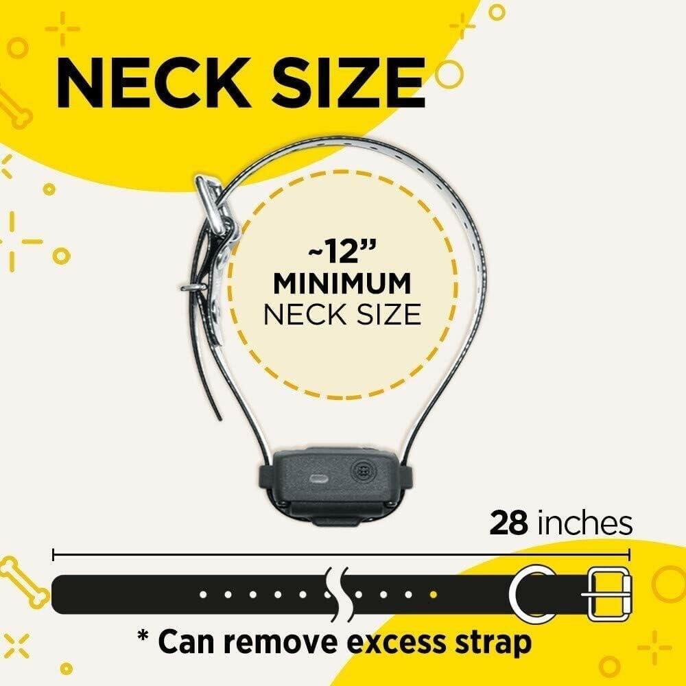 Dogtra iQVibe Vibration Only No Bark Waterproof Rechargeable Dog Collar 3 levels