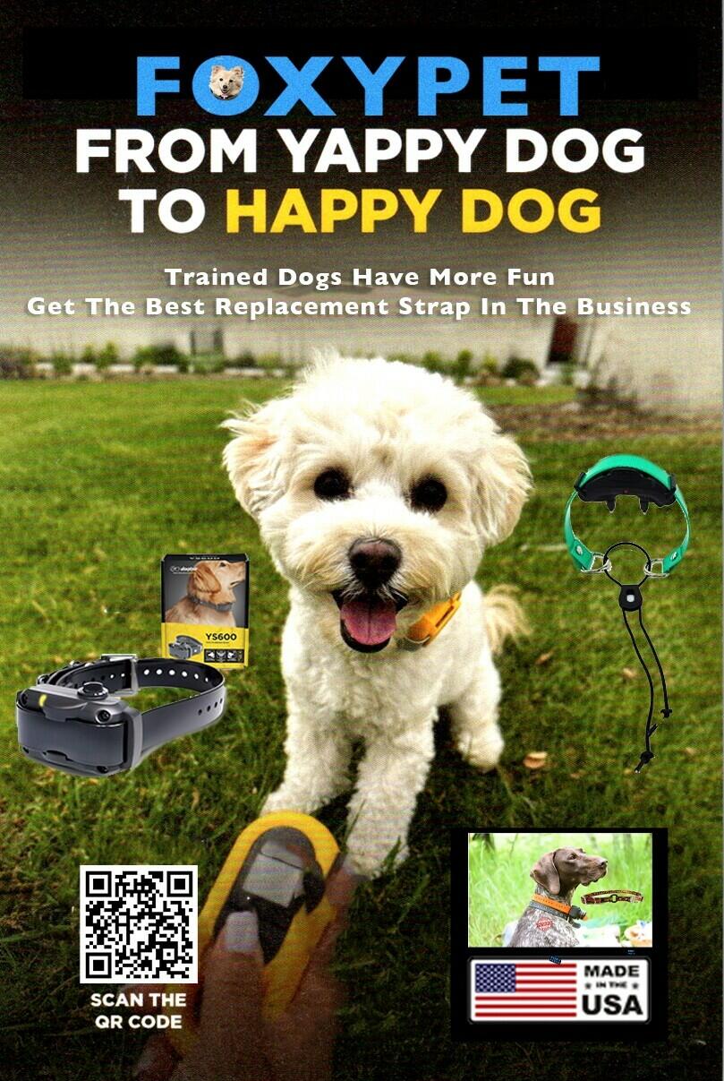 Dogtra Black Antenna 3 Inch Replacement for Dogtra Remote Transmitter GENUINE