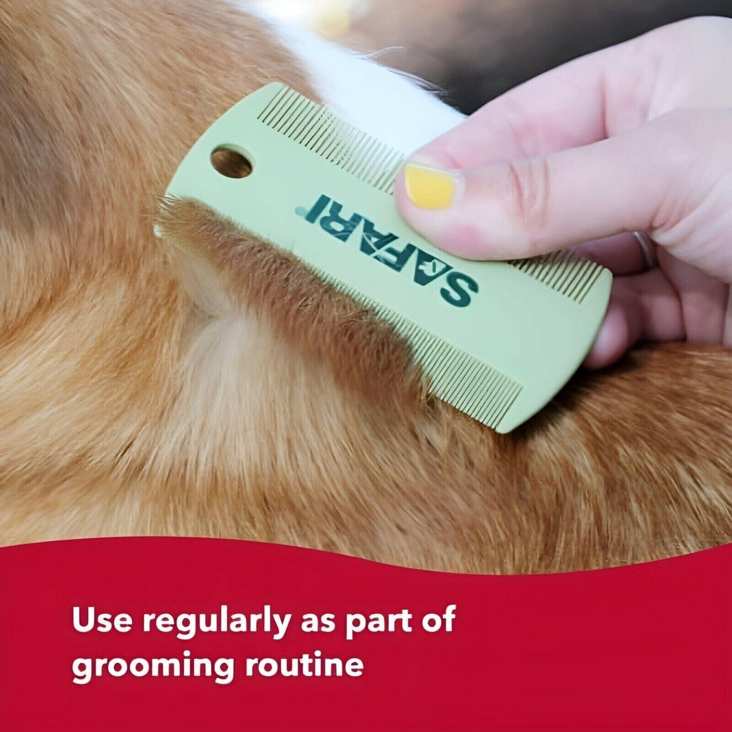 Safari Double Sided Flea Comb Pet Grooming for Dog, Puppy, Cat, Kitten