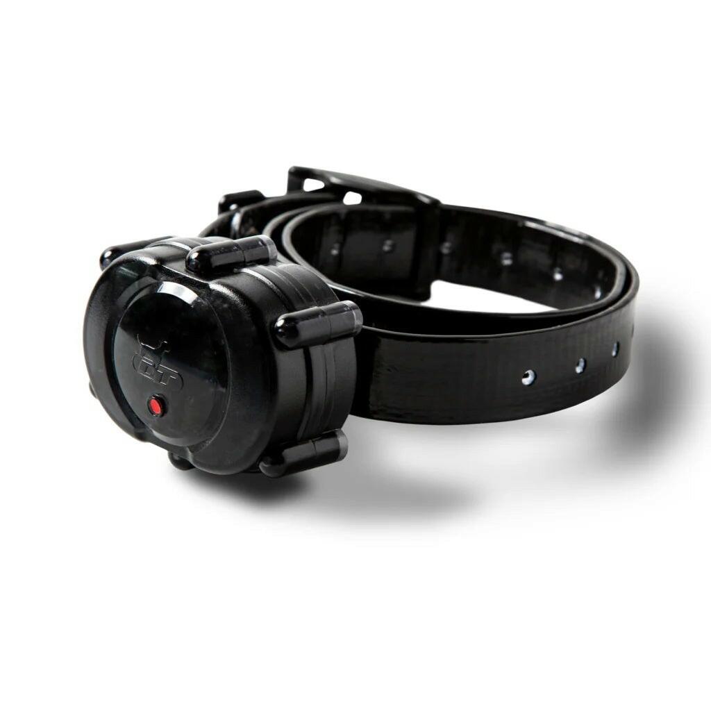 DT Systems Micro-iDT PLUS Add-On Collar Dog Receiver Black MAXX-Range 360°