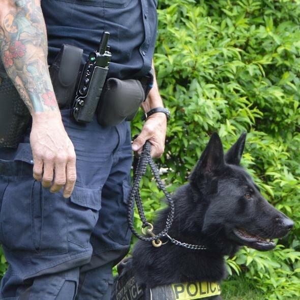 Professional Grade Black Holster for Tri-Tronics & Garmin Pro E-Collar Transmitt