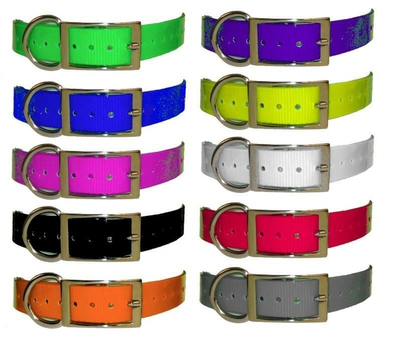 Dog Collar Strap 3/4" SportDOG 825, 1225, 1825 SportHunter by GVDS