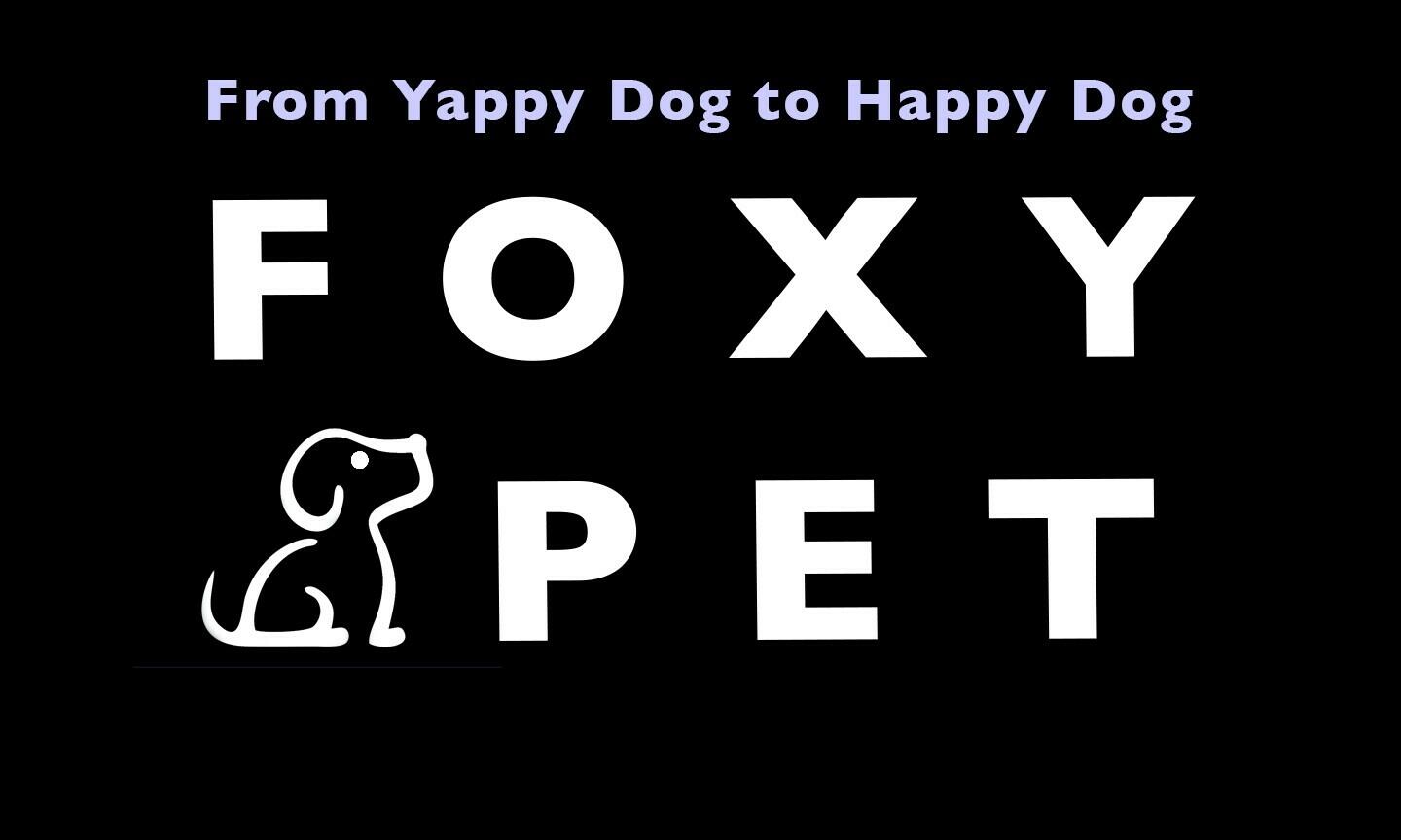 Foxy Pet Dog Training 1640 FT Remote Control Dog Training ECollar-BLACK IPX7