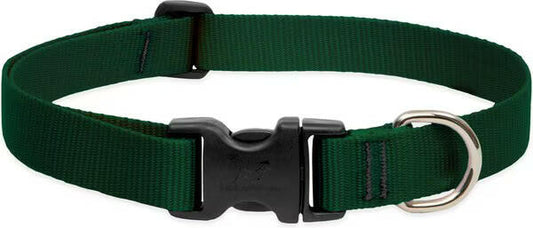 LupinePet Basic Solid Dog Collar, Green, Medium: 12 to 20-in neck, 1-in wide