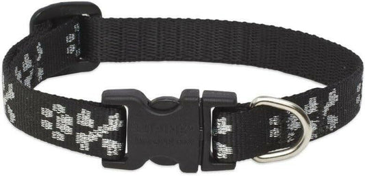 Lupine Pet Originals 1/2" Bling Bonz 8-12" Adjustable Collar for Small Dogs