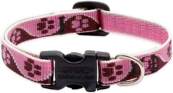 Dog Collar Lupine Tickled Pink Dog Collar 1/2" 10-16" Adjustable