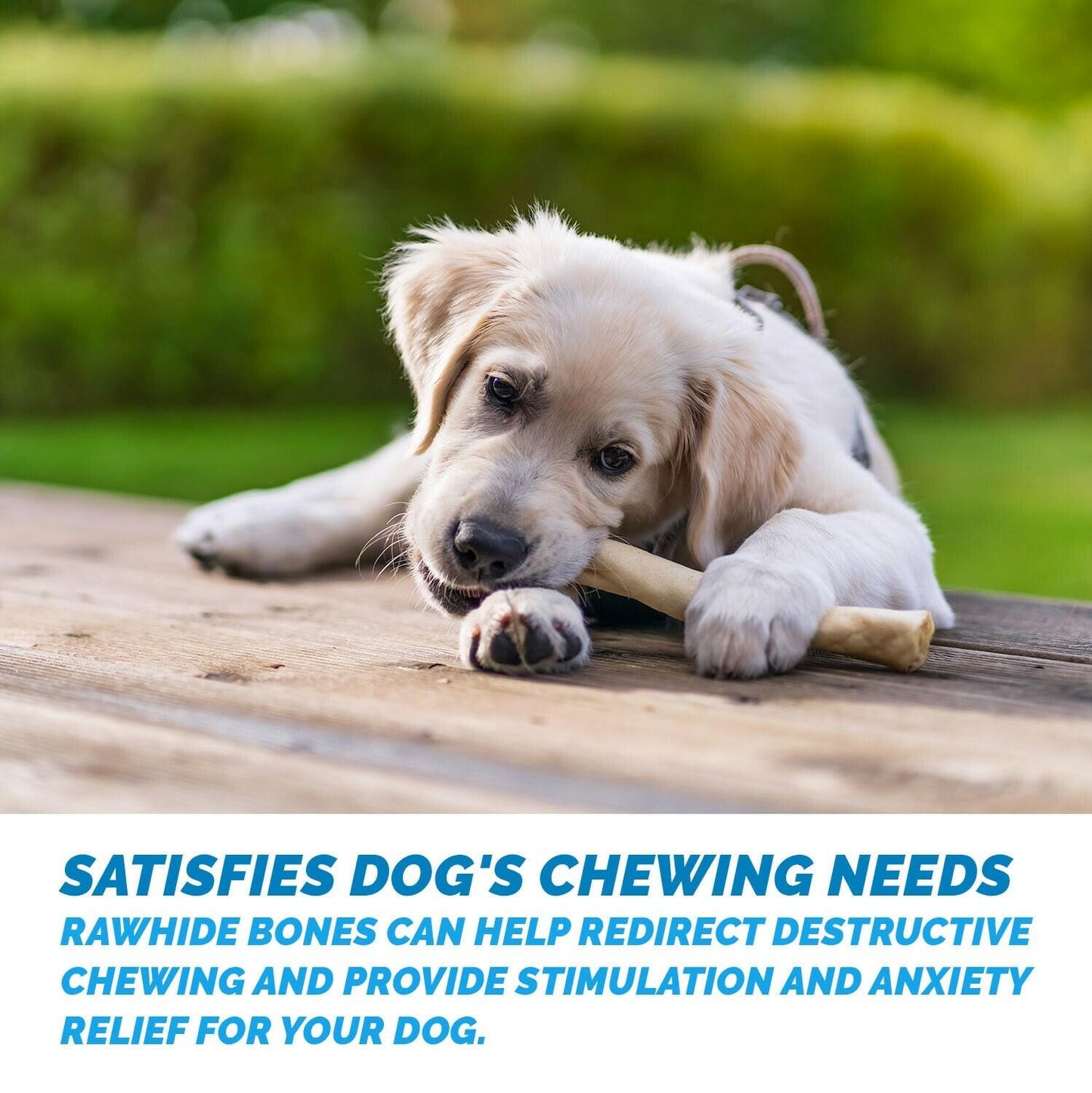 Rawhide Retriever Roll 9-10" -100% Natural Beef-Hide Rolls for dogs - 12 treats