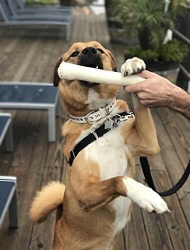 Rawhide Retriever Roll 9-10" -100% Natural Beef-Hide Rolls for dogs - 12 treats