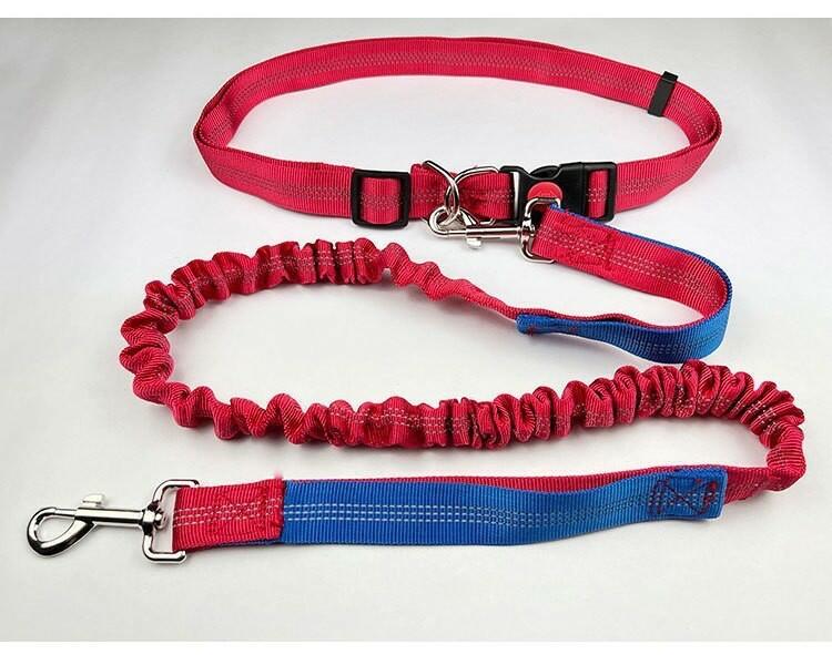 Elastic Breakaway Hands-Free Running Waist Leash