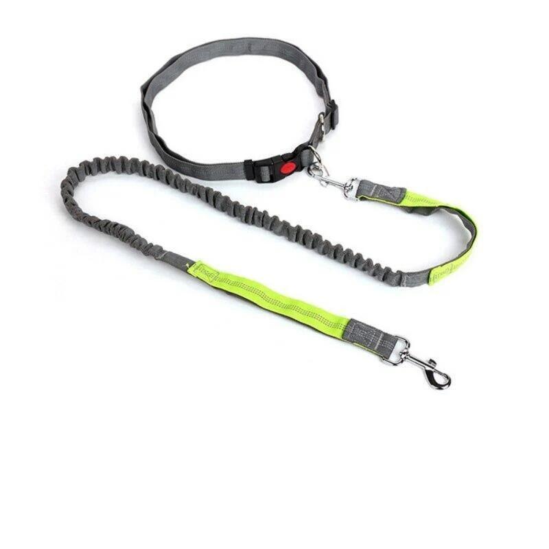 Elastic Breakaway Hands-Free Running Waist Leash