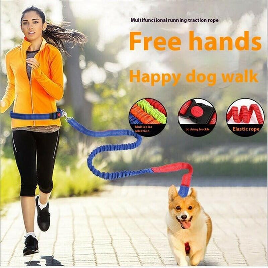 Elastic Breakaway Hands-Free Running Waist Leash