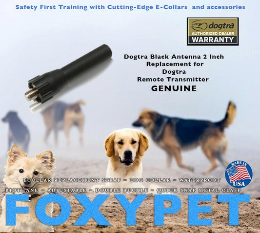 Dogtra Black Antenna 2 Inch Replacement for Dogtra Remote Transmitter GENUINE