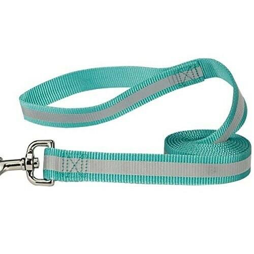 Guardian Gear Nylon Dog Leash, 4-Feet x 5/8-Inch Lead, Reflective Teal