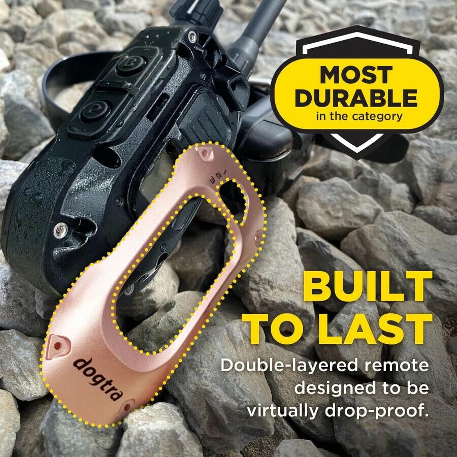 Dogtra  X-SHIELD Faceplate 1900X and 280X Remote Faceplate, Champagne-Gold