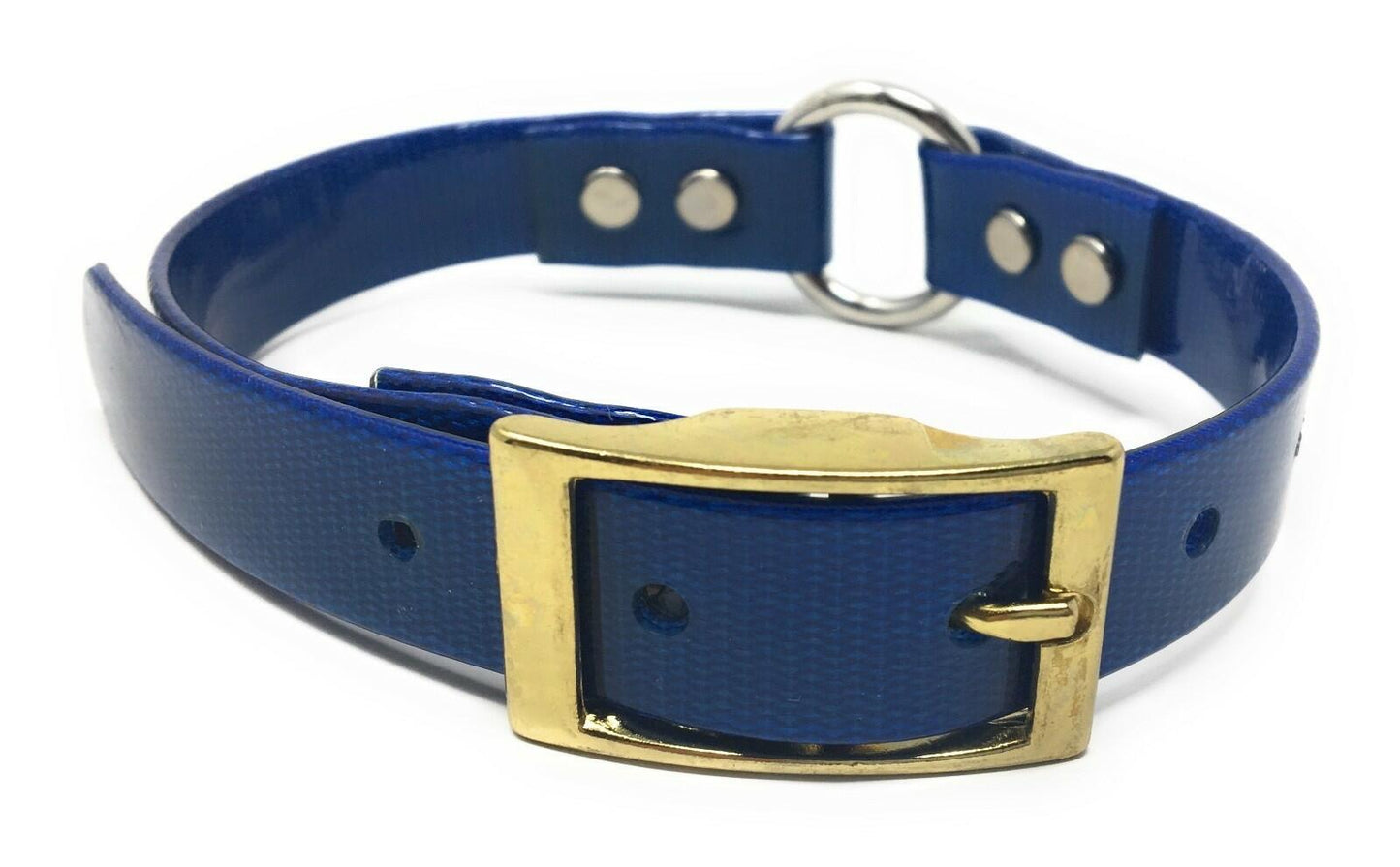 Omni Pet Sunglo Ring-in-Center Dog Collar – 3/4" x 18", Small to Medium Dogs