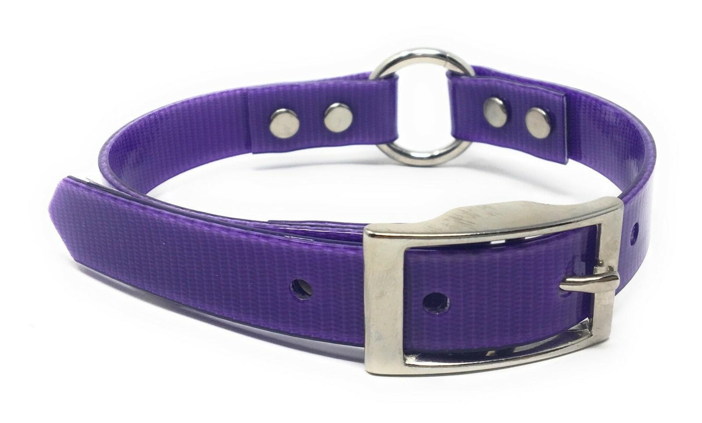 Omni Pet Sunglo Ring-in-Center Dog Collar – 3/4" x 18", Small to Medium Dogs