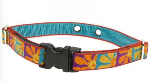 Lupine CRAZY DAISY Dog Containment Large Dog Collar 2 Hole 1.25" 19-31"