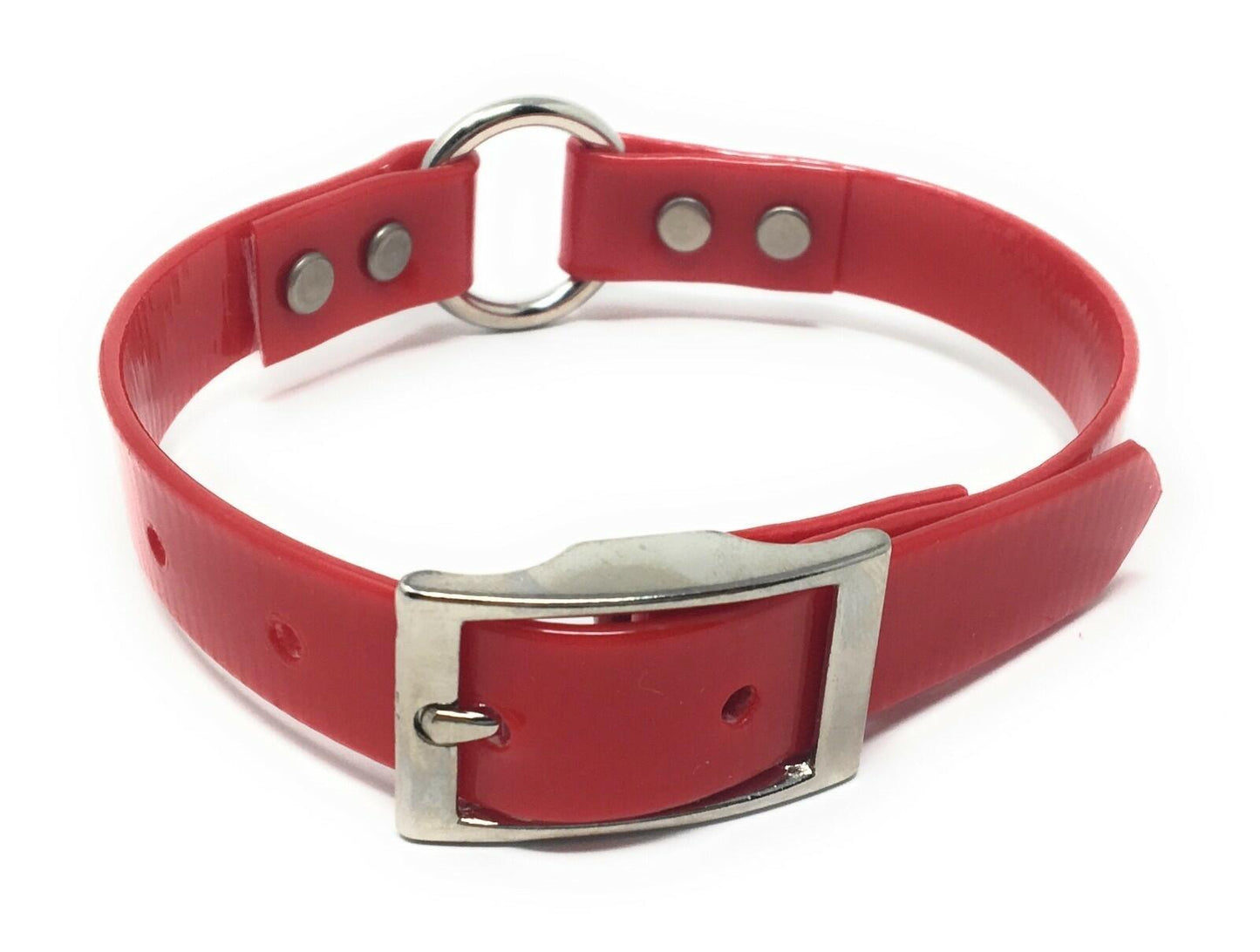 Omni Pet Sunglo Ring-in-Center Dog Collar – 3/4" x 18", Small to Medium Dogs