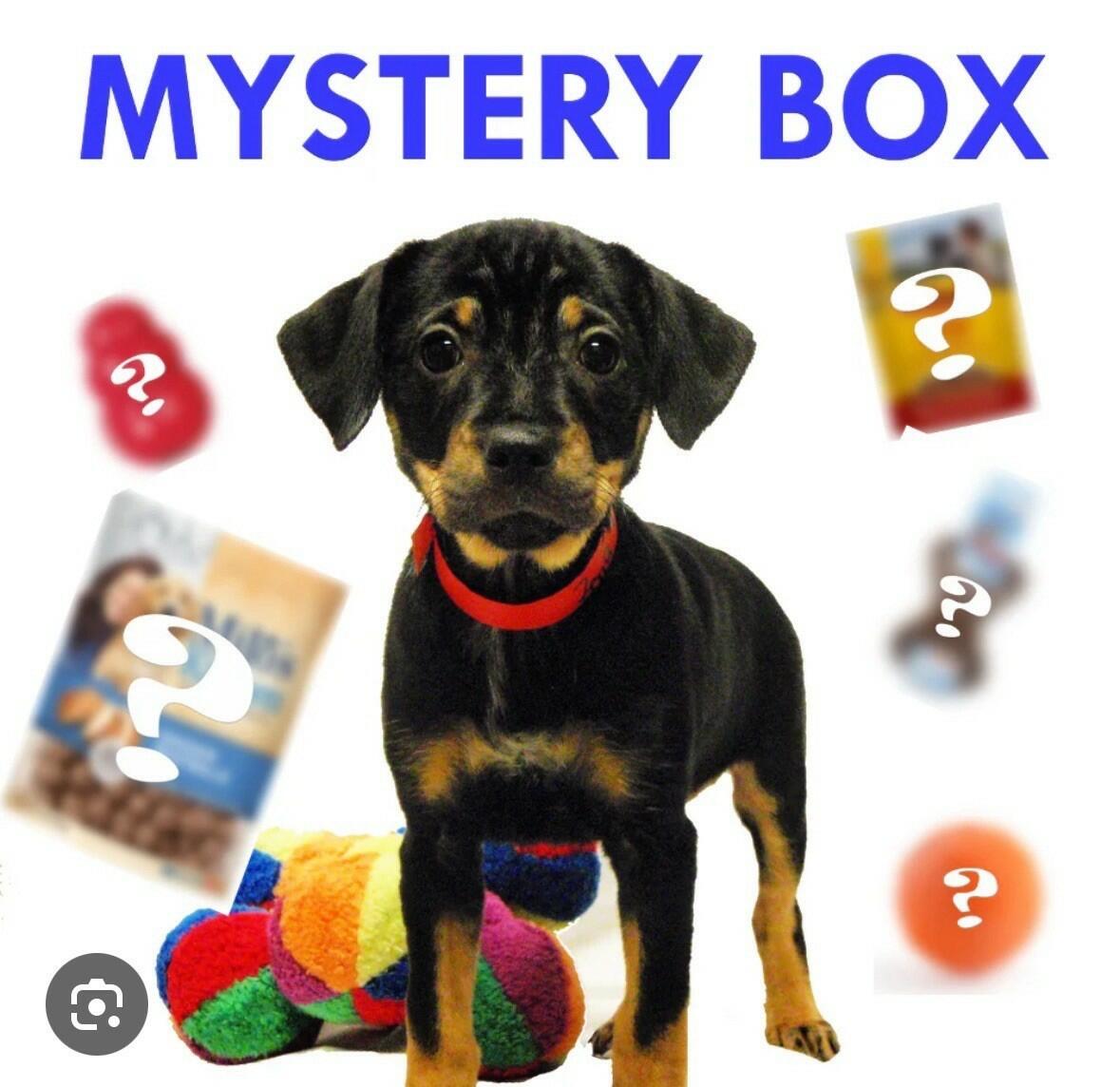 Dog Surprise Gift Box –Random Toys & Snacks for Puppy Dog Lot Accessories Bundle