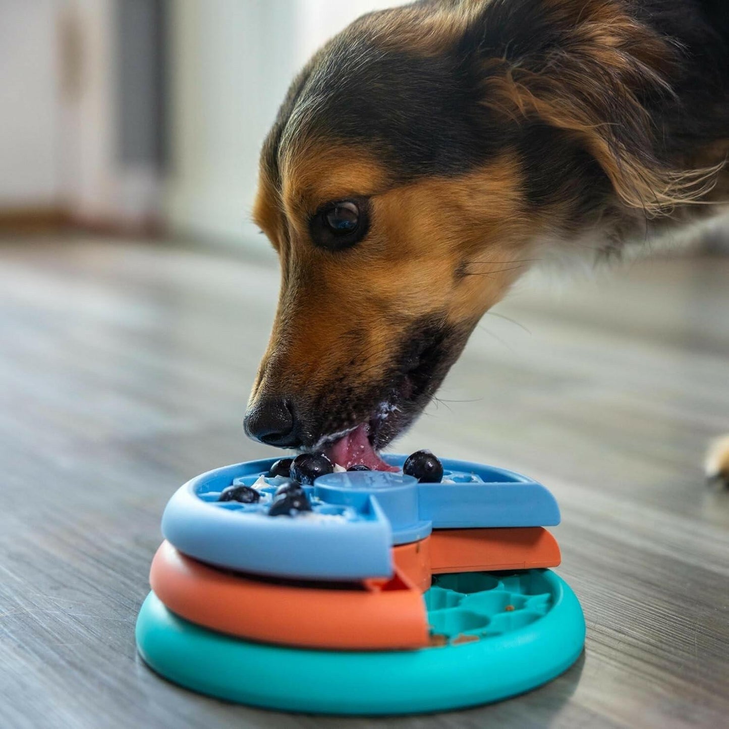 Outward Hound Lickin’ Layers Small 3-in-1 Dog Puzzle Feeder, Lick Mat Slow Bowl