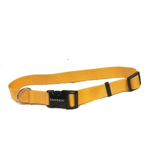Einstein Replacement Nylon Dog Collar 1" Adjustable Strap – Fits E-Collar