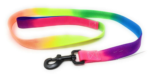 Omni Pet Rainbow  Dog Leash  – 6 Ft x 1" Wide Rainbow Leash