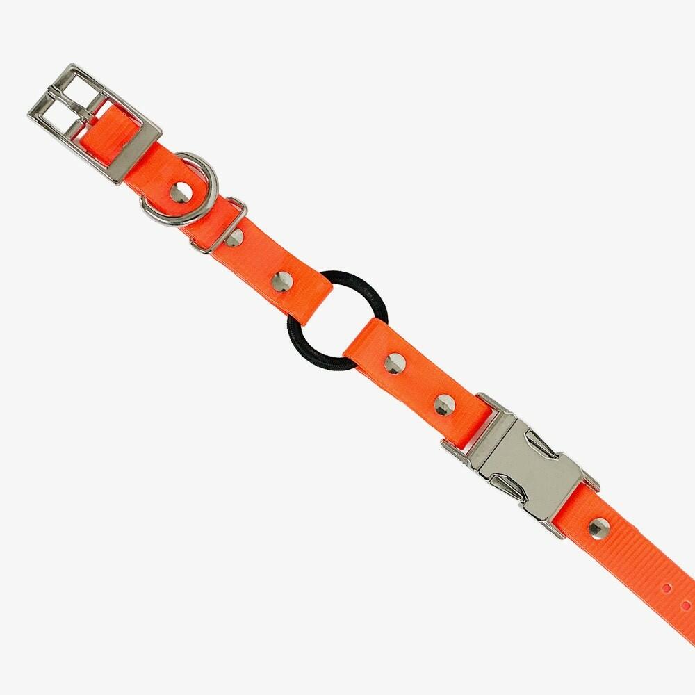 OmniPet ¾" Replacement Strap Double Buckle, High Flex, Waterproof Bungee