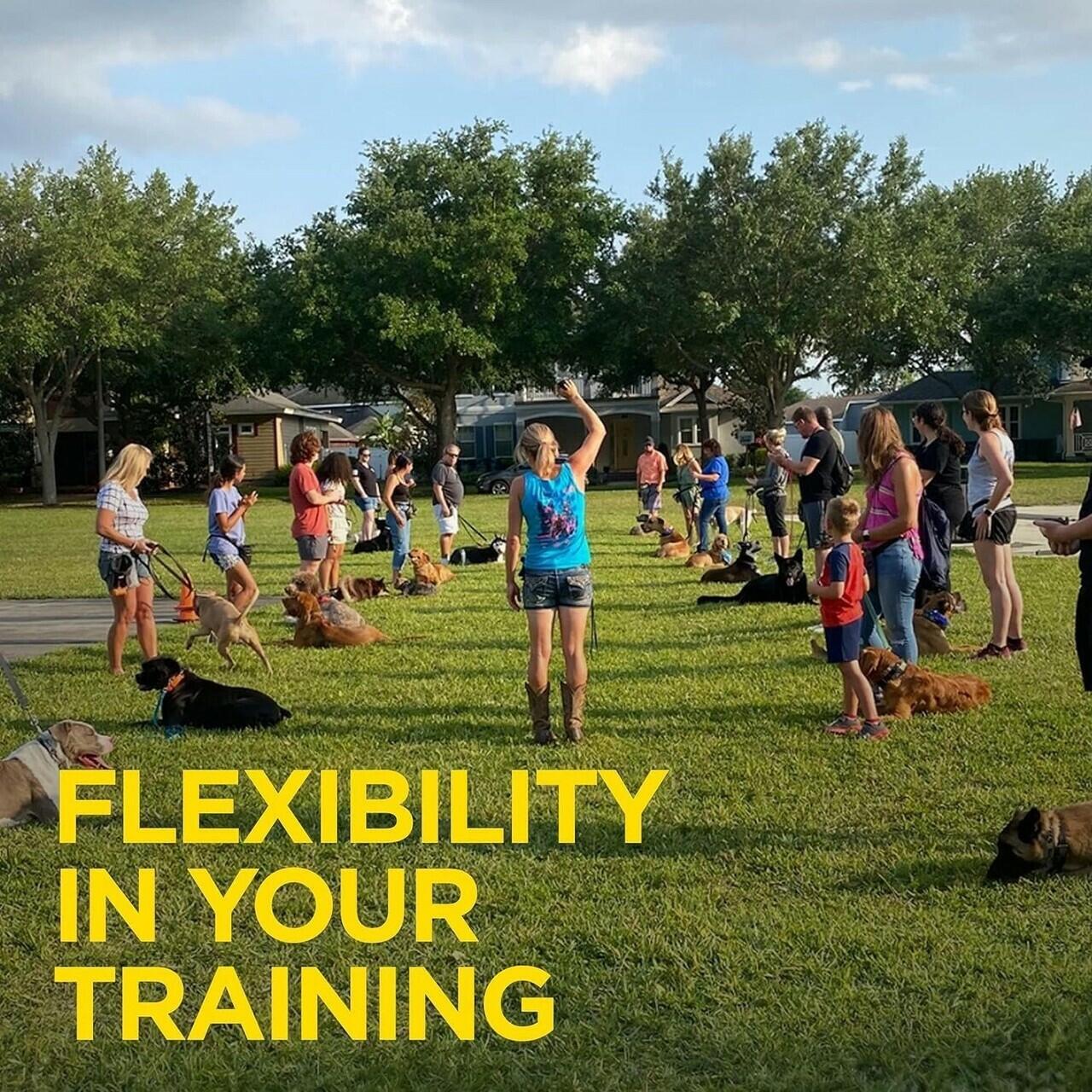 Dogtra HANDSFREE Square Expandable Remote Dog Training Device