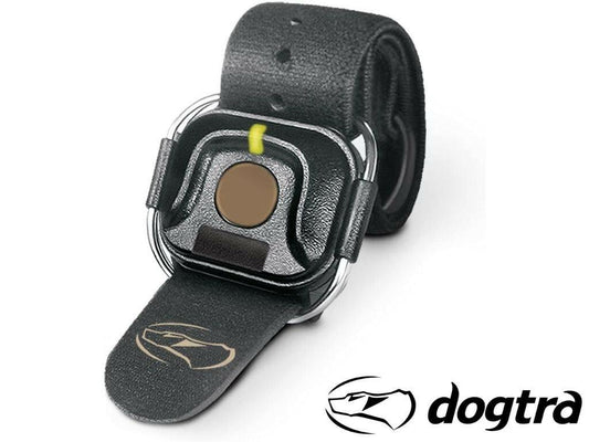Dogtra HANDSFREE Square Expandable Remote Dog Training Device
