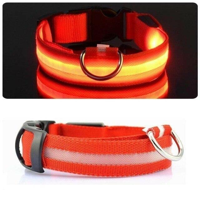 Pet Glow Adjustable Nylon LED Pet Collar – Battery Powered Safety Collar - XL