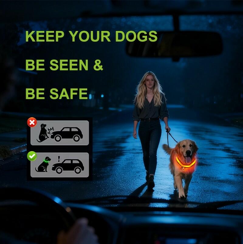 Pet Glow Adjustable Nylon LED Pet Collar – Battery Powered Safety Collar - XL