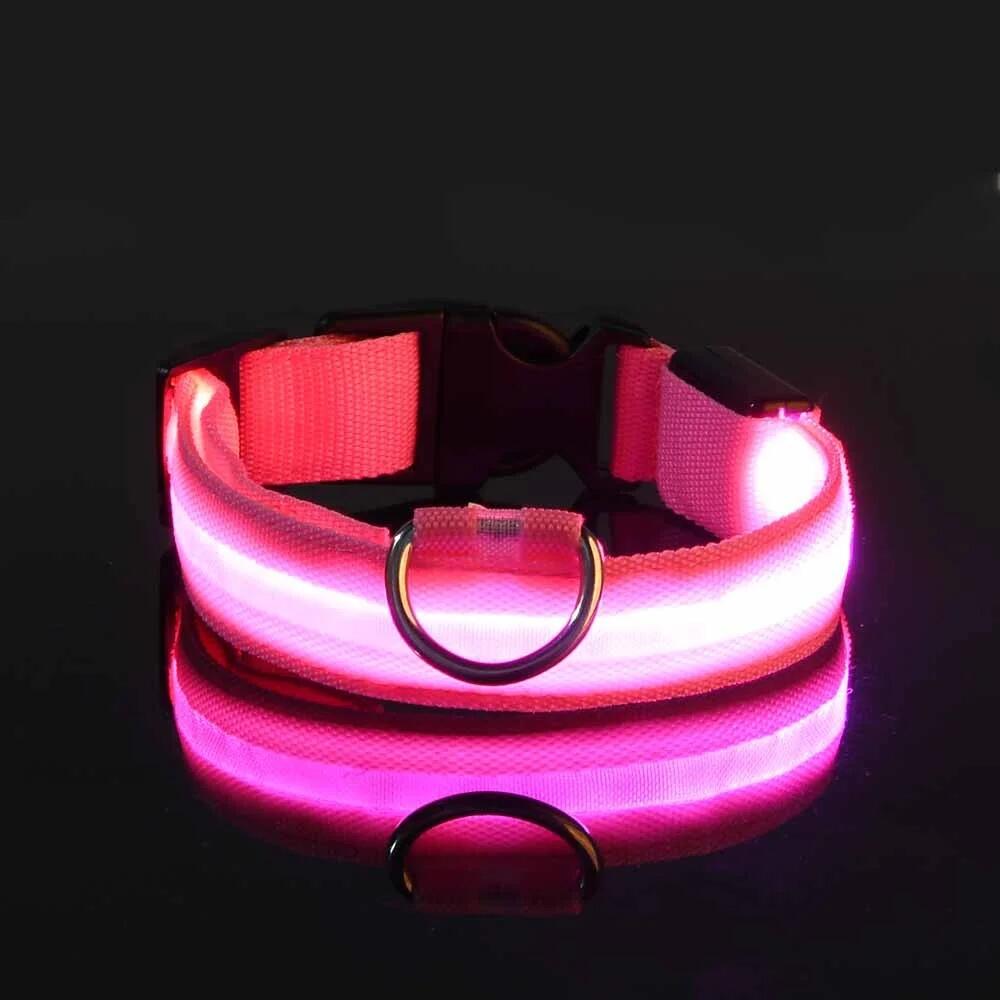 Pet Glow Adjustable Nylon LED Pet Collar – Battery Powered Safety Collar - SMALL