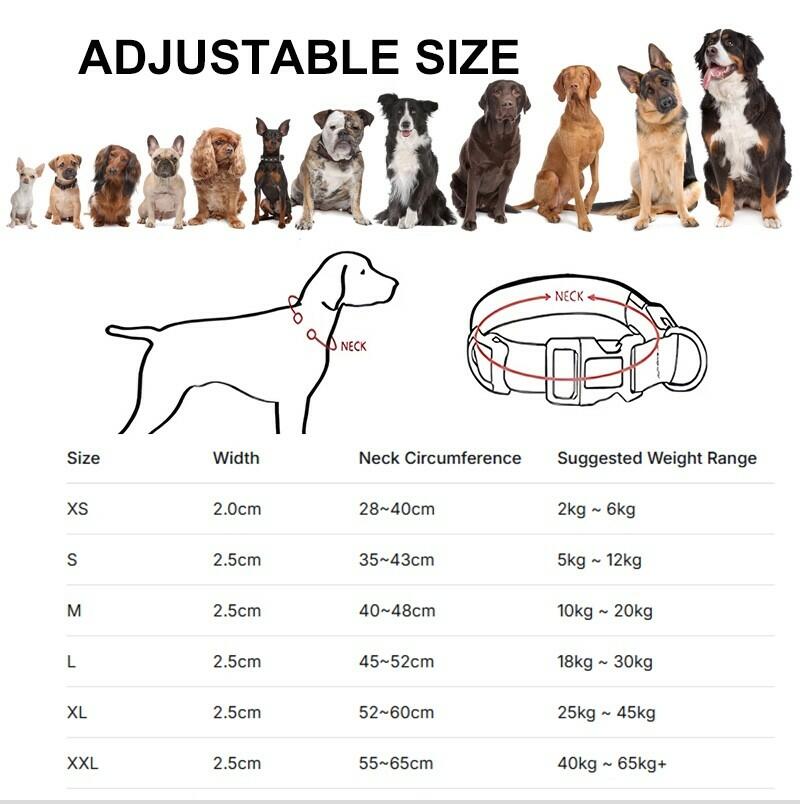 Pet Glow Adjustable Nylon LED Pet Collar – Battery Powered Safety Collar - LARGE