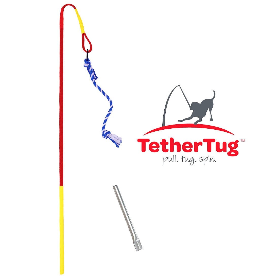 Tether Tug V2 Outdoor Dog Interactive Toy Tugging Pull Exercise 5-70 lbs and Up
