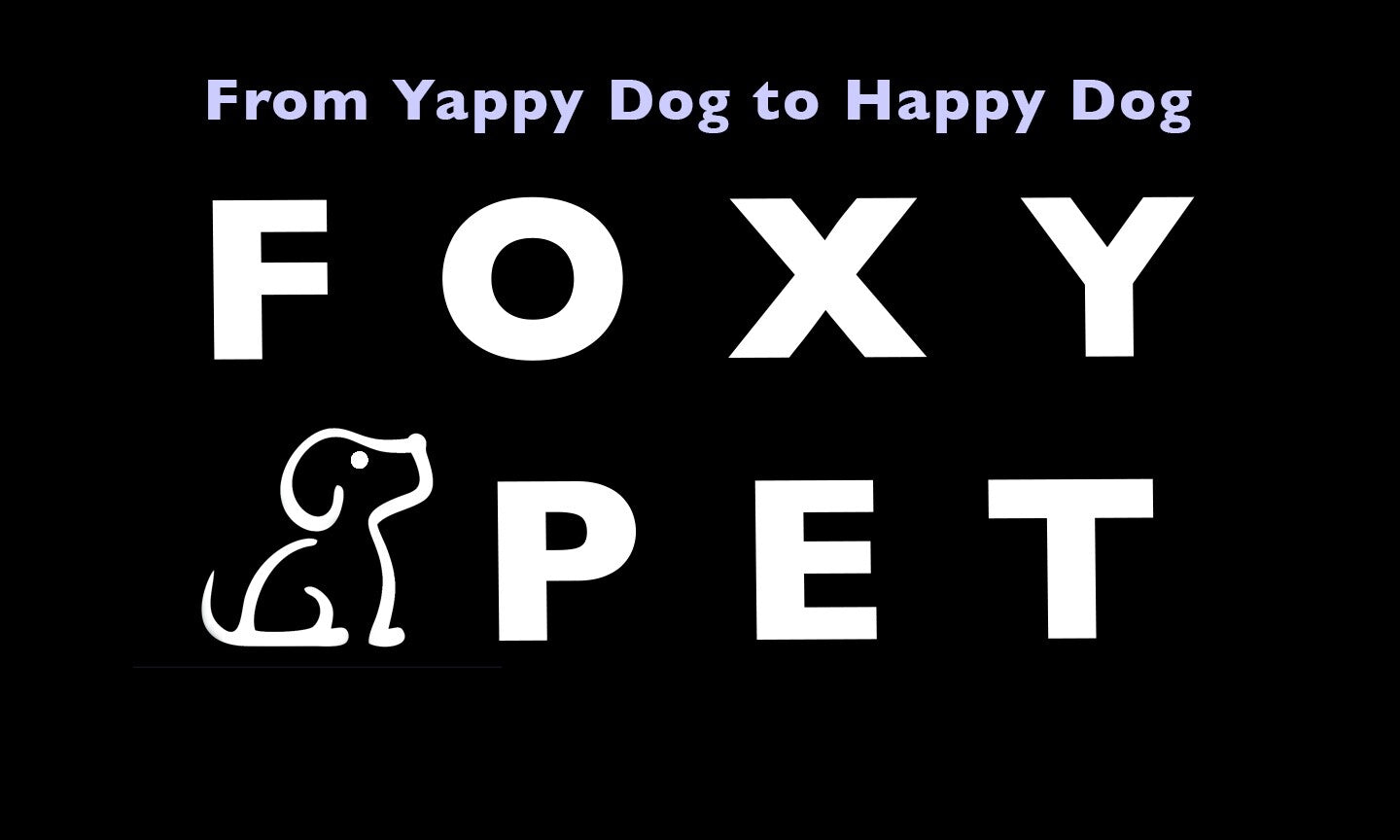 Dogtra YS600 Rechargeable Adjustable No Bark Collar